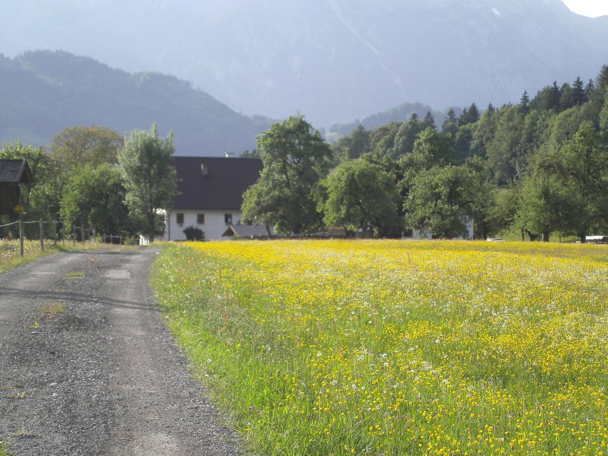 Appartamento Haus Rieder Pfarrwerfen Esterno foto